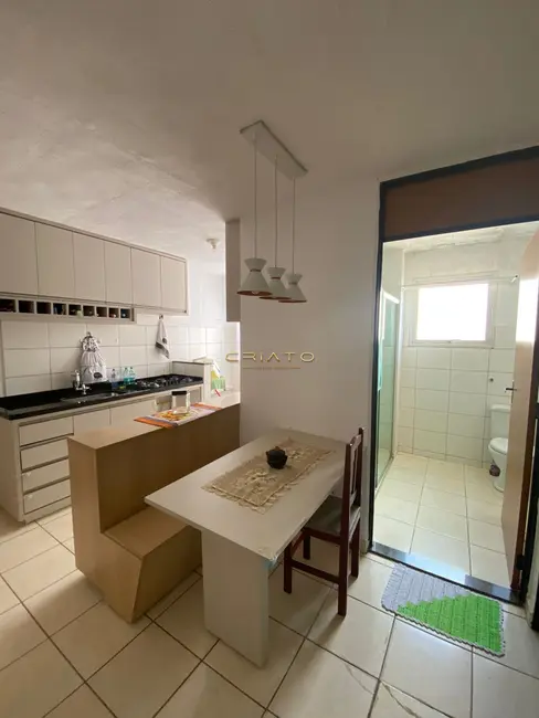 Foto 2 de Apartamento com 2 quartos à venda, 48m2 em Anapolis - GO