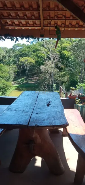 Foto 8 de Chácara com 2 quartos à venda, 100m2 em Setor Central, Campo Limpo De Goias - GO