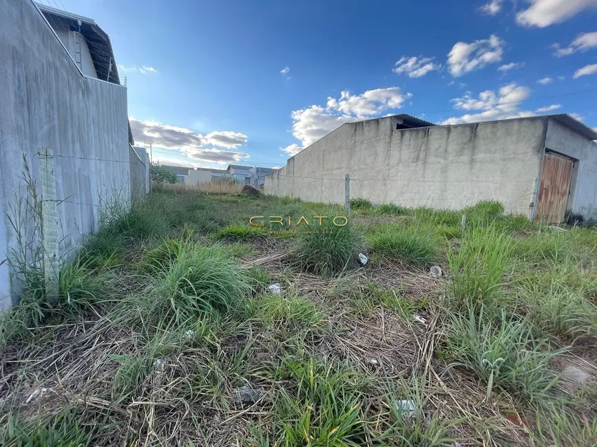 Foto 3 de Terreno / Lote à venda, 200m2 em Anapolis - GO