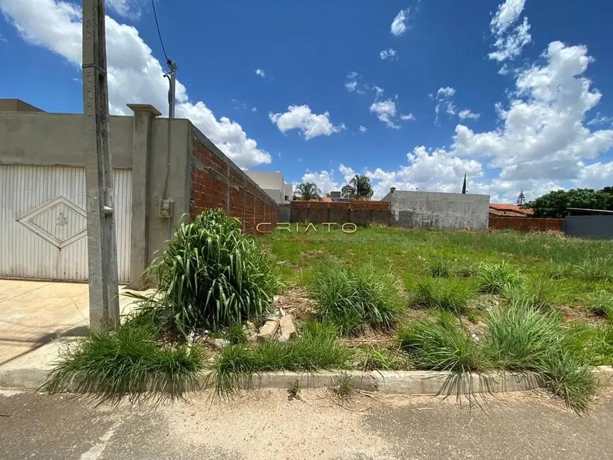 Foto 3 de Terreno / Lote à venda, 300m2 em Residencial Cerejeiras,  - GO