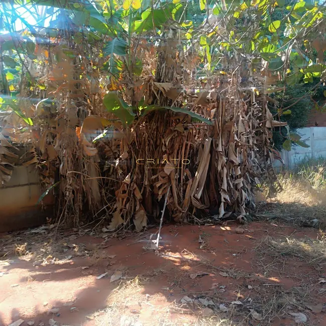 Foto 9 de Fazenda / Haras à venda, 1000m2 em Pirenopolis - GO