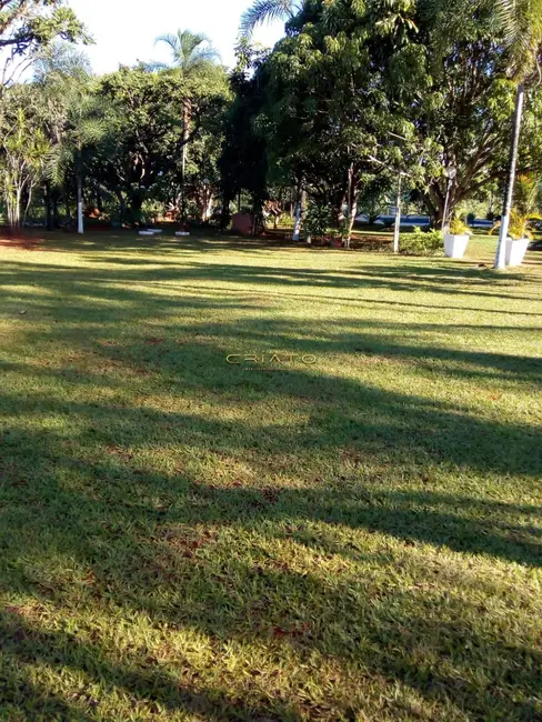 Chácara com 4 quartos à venda, 260m2 em Chácaras Americanas, Anapolis - GO - imagem 8 Foto 8 de Chácara com 4 quartos à venda, 260m2 em Chácaras Americanas, Anapolis - GO