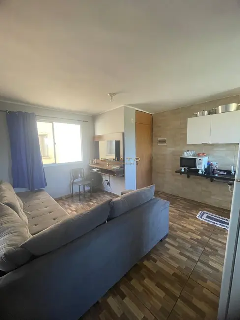 Apartamento com 2 quartos à venda, 55m2 em Anapolis - GO - imagem 3 Foto 3 de Apartamento com 2 quartos à venda, 55m2 em Anapolis - GO