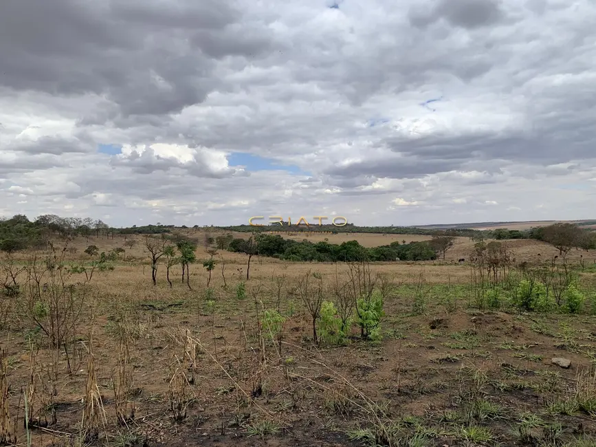 Fazenda / Haras à venda, 10265m2 em Distrito Agroindustrial de Anápolis, Anapolis - GO - imagem 6 Foto 6 de Fazenda / Haras à venda, 10265m2 em Distrito Agroindustrial de Anápolis, Anapolis - GO