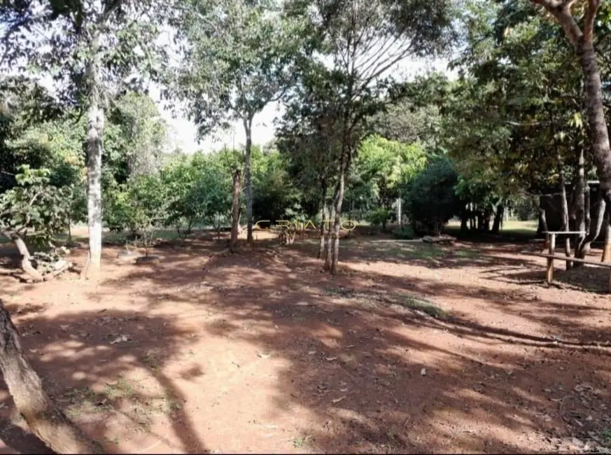 Chácara com 3 quartos à venda, 160m2 em Setor Central, Leopoldo De Bulhoes - GO - imagem 8 Foto 8 de Chácara com 3 quartos à venda, 160m2 em Setor Central, Leopoldo De Bulhoes - GO