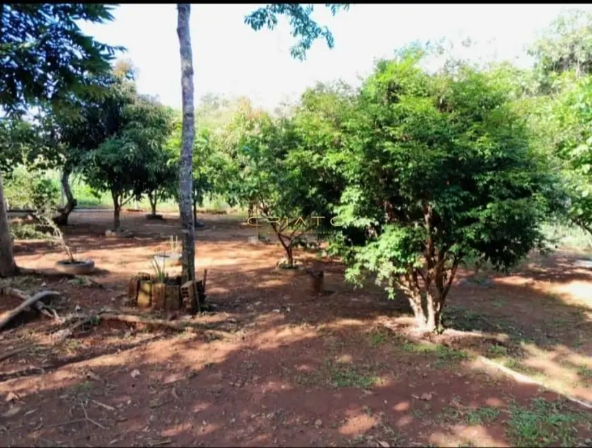 Chácara com 3 quartos à venda, 160m2 em Setor Central, Leopoldo De Bulhoes - GO - imagem 7 Foto 7 de Chácara com 3 quartos à venda, 160m2 em Setor Central, Leopoldo De Bulhoes - GO