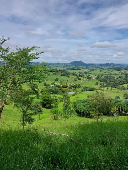 Foto 6 de Fazenda / Haras com 4 quartos à venda, 193600m2 em Petrolina De Goias - GO