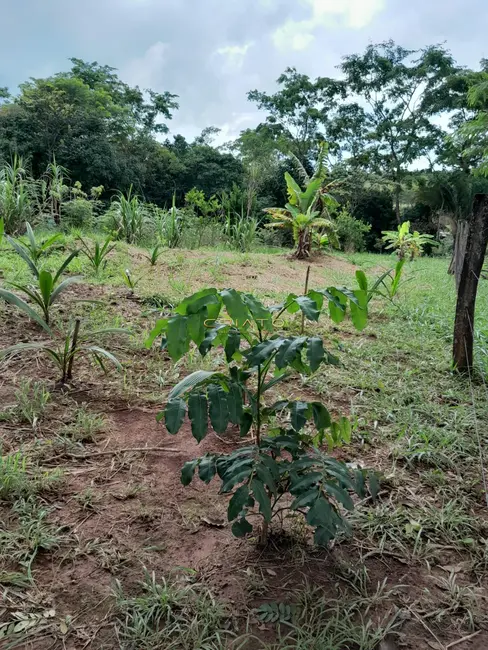 Foto 6 de Chácara com 2 quartos à venda, 3640m2 em Cocalzinho De Goias - GO
