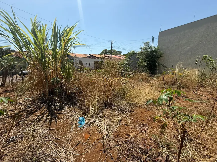 Foto 4 de Terreno / Lote à venda, 300m2 em Setor Sul III Etapa, Anapolis - GO