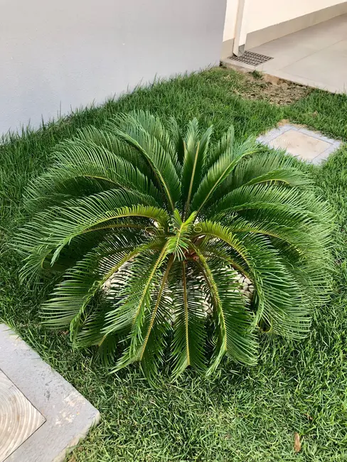 Foto 6 de Casa com 3 quartos à venda, 141m2 em Chácaras Colorado, Anapolis - GO