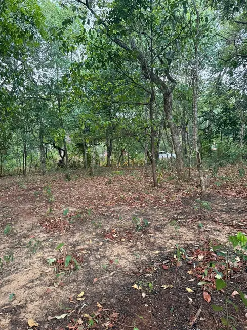 Foto 5 de Terreno / Lote à venda, 1000m2 em Pirenopolis - GO
