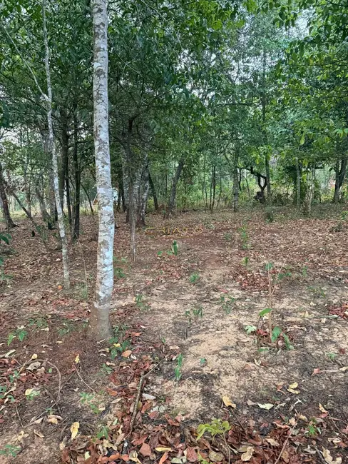Foto 4 de Terreno / Lote à venda, 1000m2 em Pirenopolis - GO