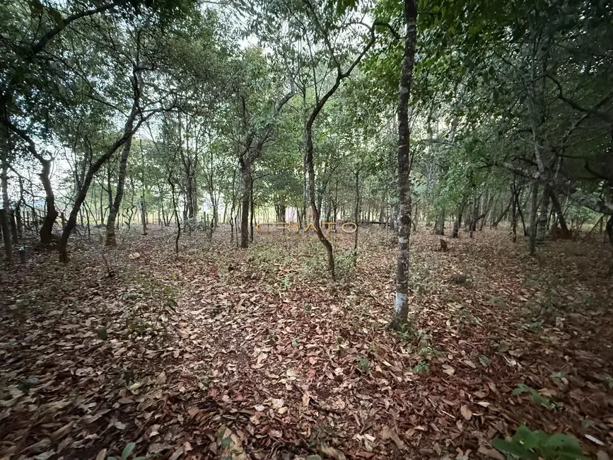 Foto 9 de Terreno / Lote à venda, 1000m2 em Pirenopolis - GO