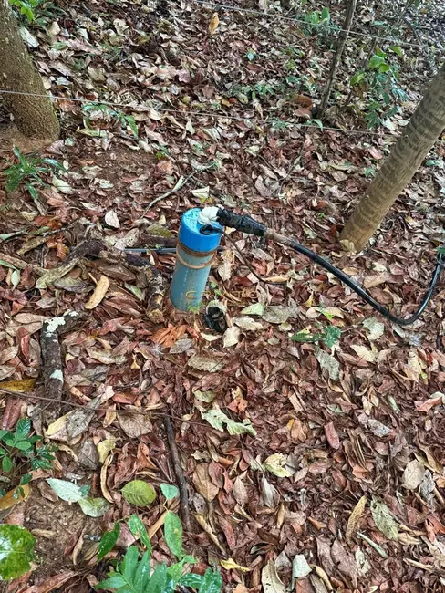 Foto 7 de Terreno / Lote à venda, 1000m2 em Pirenopolis - GO