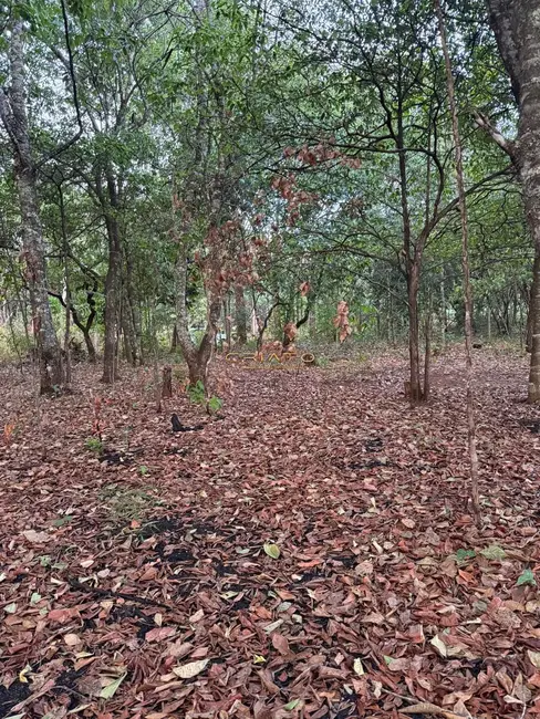 Foto 3 de Terreno / Lote à venda, 1000m2 em Pirenopolis - GO