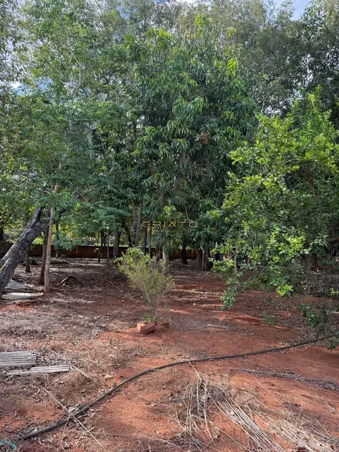 Foto 7 de Terreno / Lote à venda, 2631m2 em Pirenopolis - GO