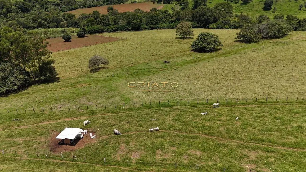 Fazenda / Haras com 3 quartos à venda, 438000m2 em Residencial Copacabana, Anapolis - GO - imagem 6 Foto 6 de Fazenda / Haras com 3 quartos à venda, 438000m2 em Residencial Copacabana, Anapolis - GO