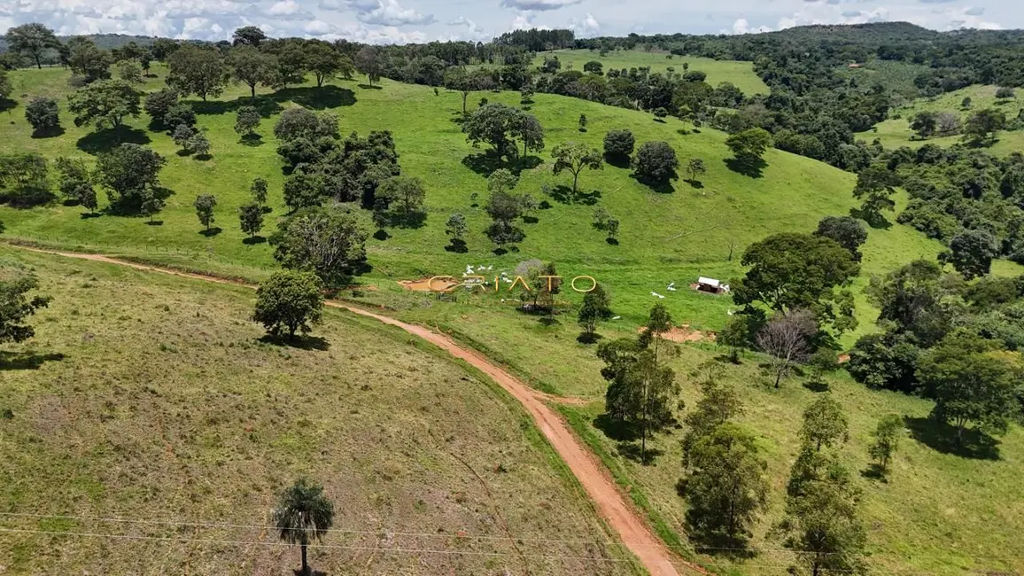 Fazenda / Haras com 3 quartos à venda, 438000m2 em Residencial Copacabana, Anapolis - GO - imagem 9 Foto 9 de Fazenda / Haras com 3 quartos à venda, 438000m2 em Residencial Copacabana, Anapolis - GO