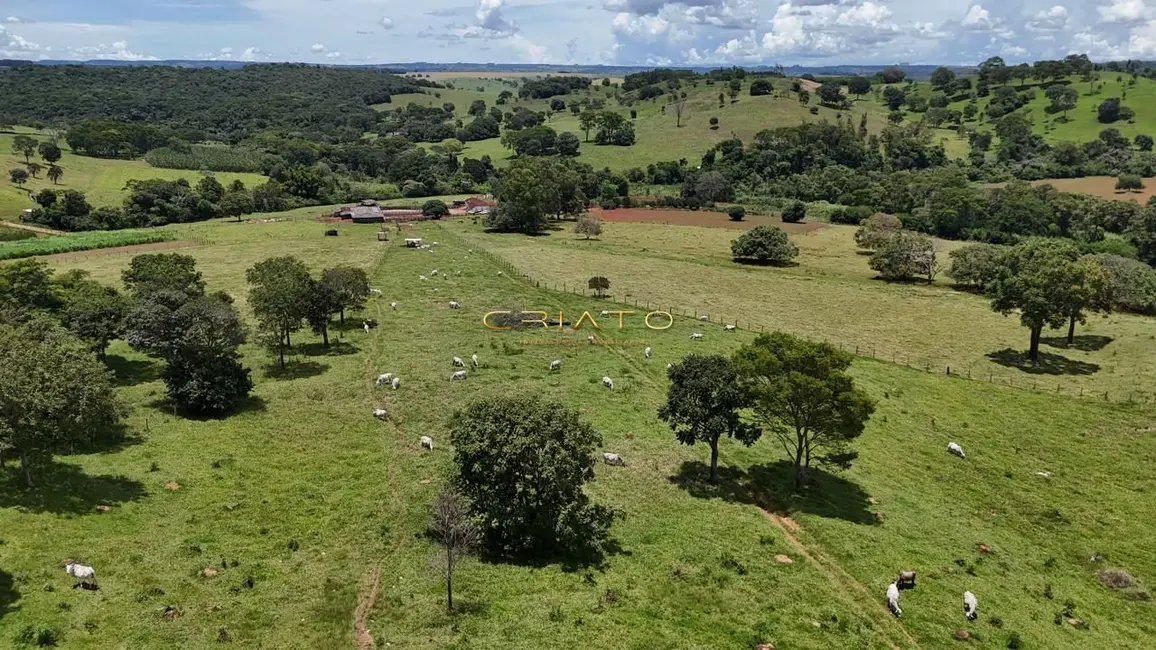 Fazenda / Haras com 3 quartos à venda, 438000m2 em Residencial Copacabana, Anapolis - GO - imagem 8 Foto 8 de Fazenda / Haras com 3 quartos à venda, 438000m2 em Residencial Copacabana, Anapolis - GO