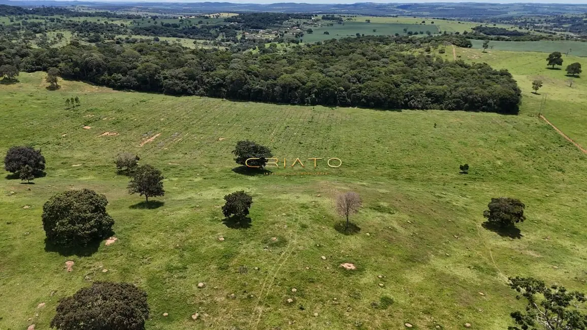 Fazenda / Haras com 3 quartos à venda, 438000m2 em Residencial Copacabana, Anapolis - GO - imagem 4 Foto 4 de Fazenda / Haras com 3 quartos à venda, 438000m2 em Residencial Copacabana, Anapolis - GO