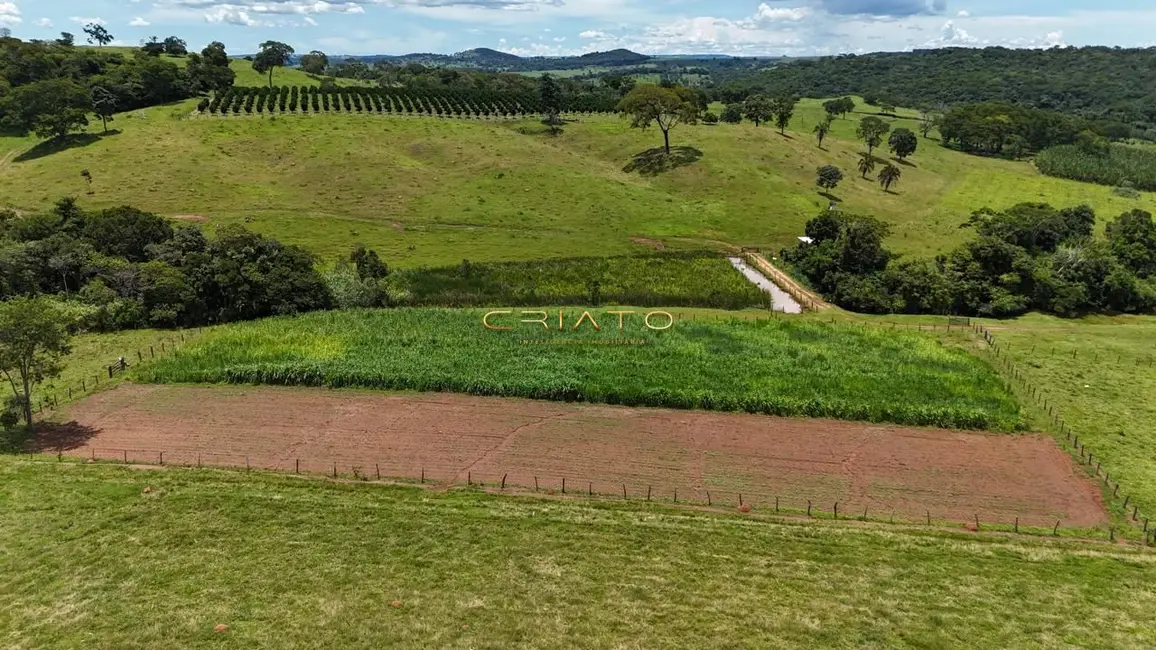 Fazenda / Haras com 3 quartos à venda, 438000m2 em Residencial Copacabana, Anapolis - GO - imagem 5 Foto 5 de Fazenda / Haras com 3 quartos à venda, 438000m2 em Residencial Copacabana, Anapolis - GO