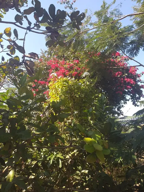 Foto 2 de Chácara com 2 quartos à venda, 13m2 em Abadiania - GO