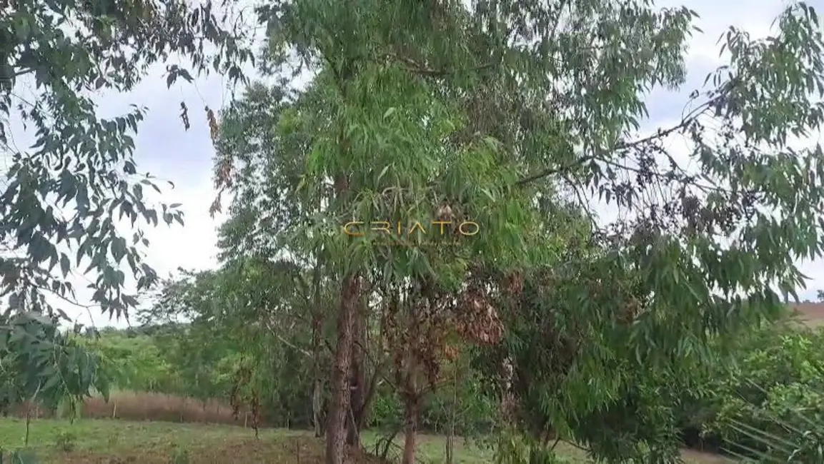 Foto 8 de Chácara com 3 quartos à venda, 22000m2 em Corumba De Goias - GO