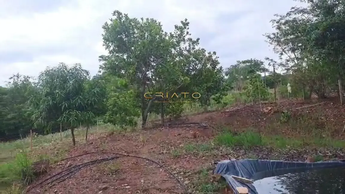 Foto 6 de Chácara com 3 quartos à venda, 22000m2 em Corumba De Goias - GO