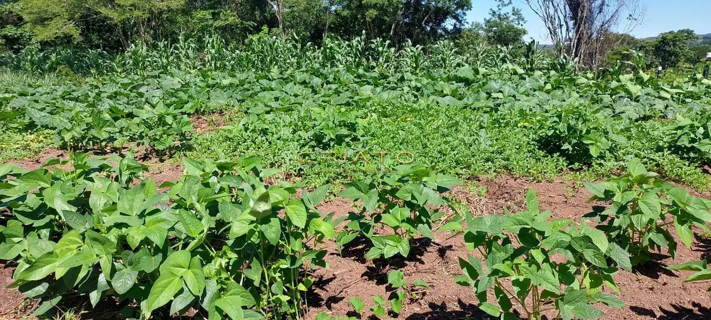 Foto 6 de Chácara com 1 quarto à venda, 59400m2 em Pirenopolis - GO