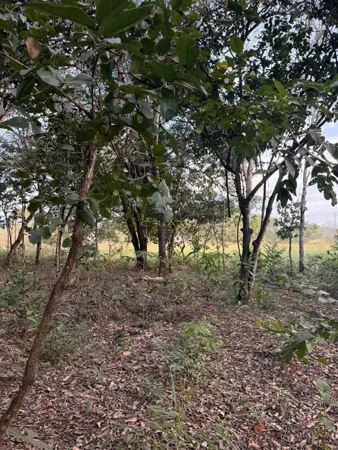 Foto 2 de Terreno / Lote à venda, 1000m2 em Pirenopolis - GO