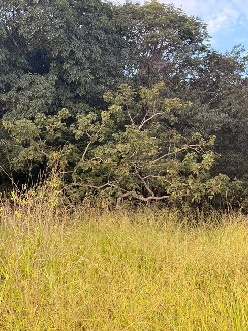 Foto 6 de Terreno / Lote à venda, 1000m2 em Pirenopolis - GO