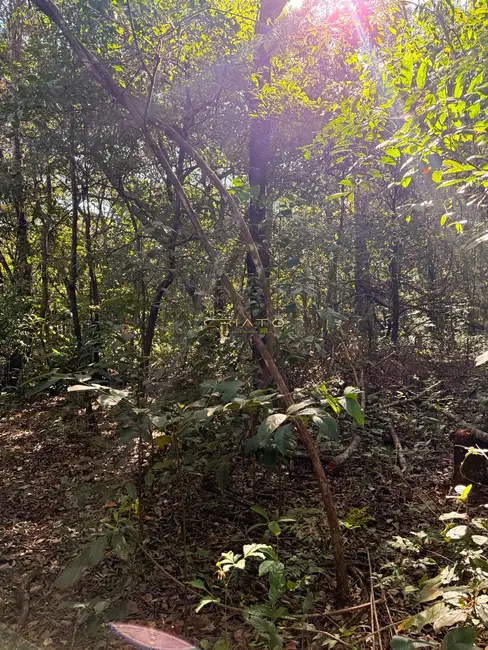 Foto 2 de Terreno / Lote à venda, 1200m2 em Pirenopolis - GO
