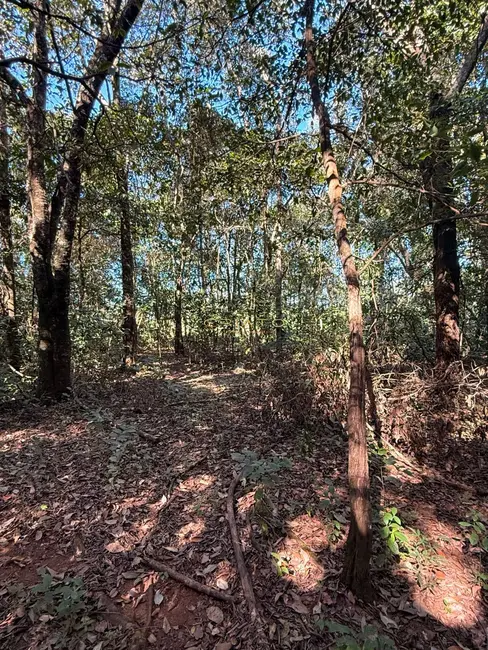 Foto 4 de Terreno / Lote à venda, 1200m2 em Pirenopolis - GO