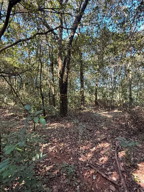 Foto 6 de Terreno / Lote à venda, 1200m2 em Pirenopolis - GO