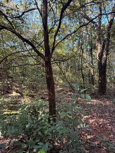 Foto 5 de Terreno / Lote à venda, 1200m2 em Pirenopolis - GO