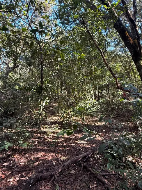 Foto 3 de Terreno / Lote à venda, 1200m2 em Pirenopolis - GO