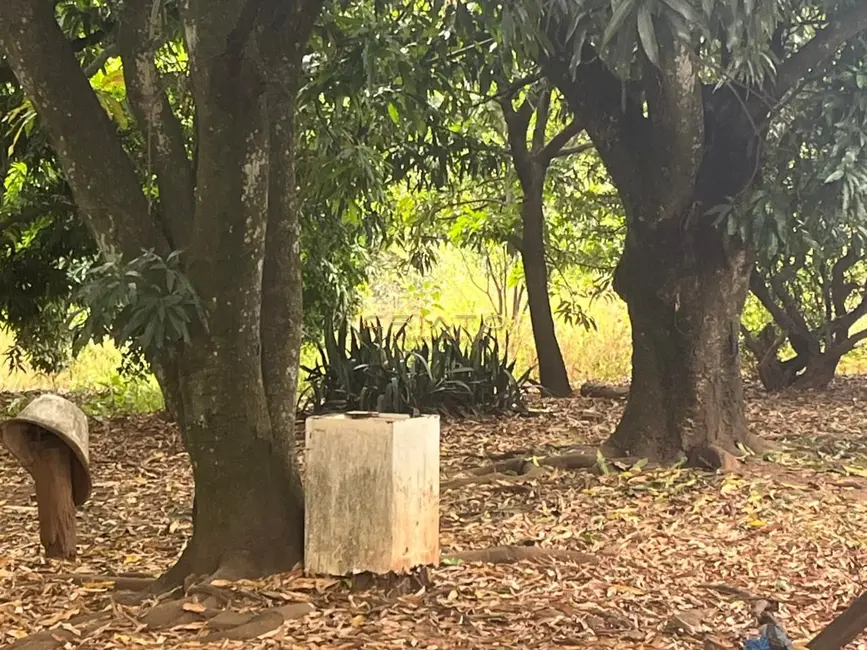 Terreno / Lote à venda, 3200m2 em Parque das Nações, Anapolis - GO - imagem 3 Foto 3 de Terreno / Lote à venda, 3200m2 em Parque das Nações, Anapolis - GO