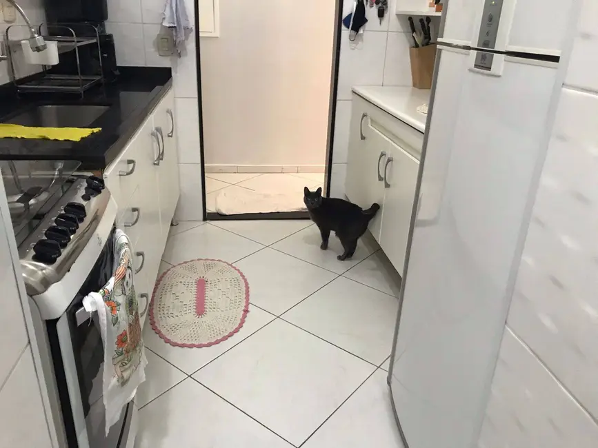 Foto 5 de Apartamento com 3 quartos à venda, 67m2 em Taboão, Sao Bernardo Do Campo - SP