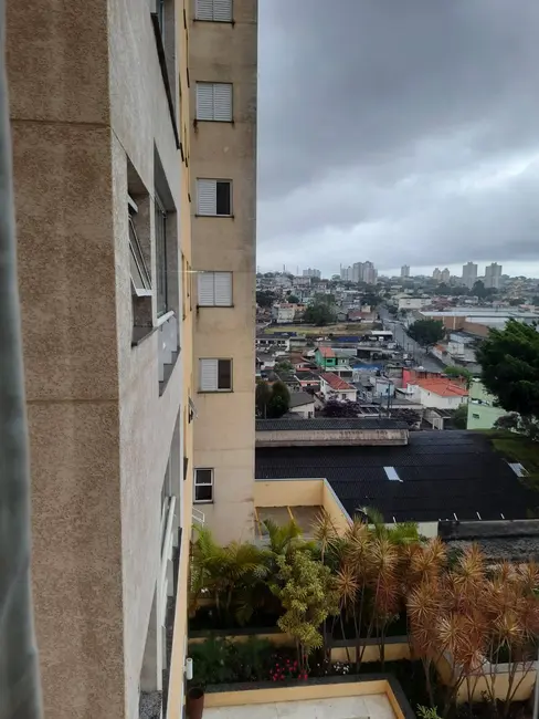 Foto 3 de Apartamento com 3 quartos à venda em Baeta Neves, Sao Bernardo Do Campo - SP