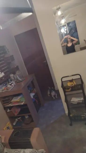 Foto 3 de Apartamento com 2 quartos à venda, 54m2 em Vila Camilópolis, Santo Andre - SP