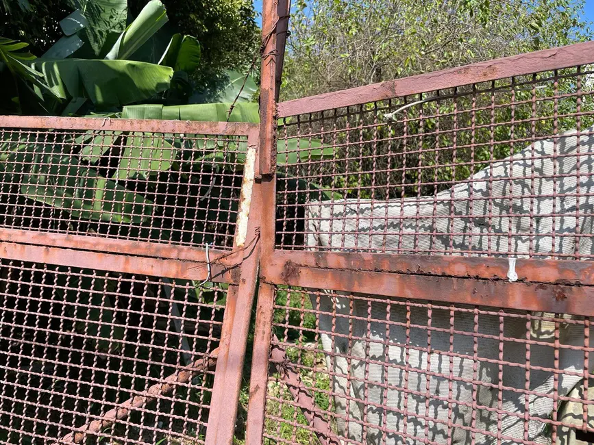 Foto 6 de Terreno / Lote à venda, 1000m2 em São José, Sao Caetano Do Sul - SP