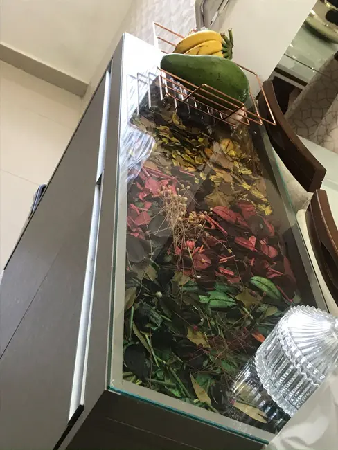 Foto 5 de Apartamento com 3 quartos à venda, 70m2 em Vila Humaitá, Santo Andre - SP