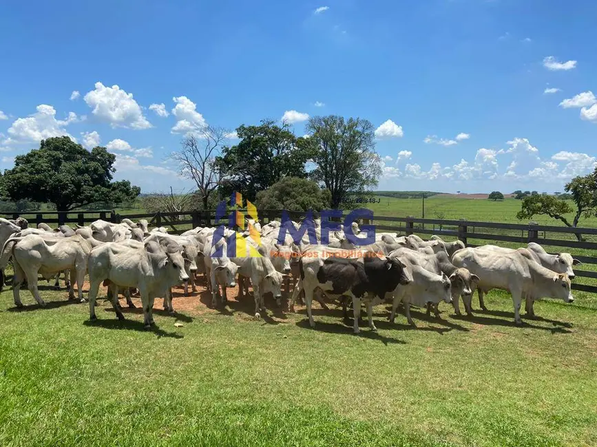 Foto 2 de Fazenda / Haras à venda, 108m2 em Área Rural de Lins, Lins - SP
