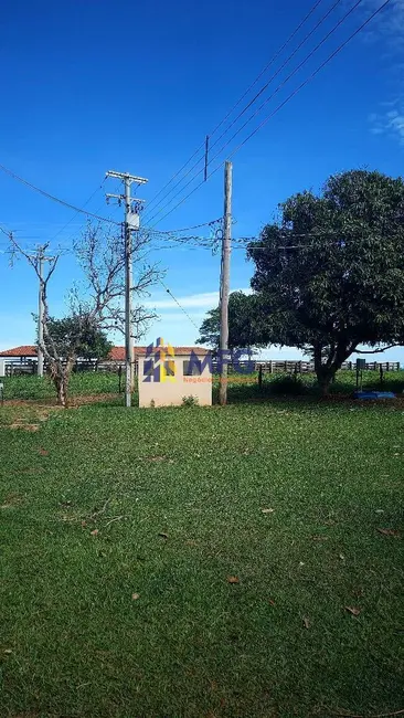 Foto 2 de Fazenda / Haras à venda em Área Rural de Araçatuba, Aracatuba - SP