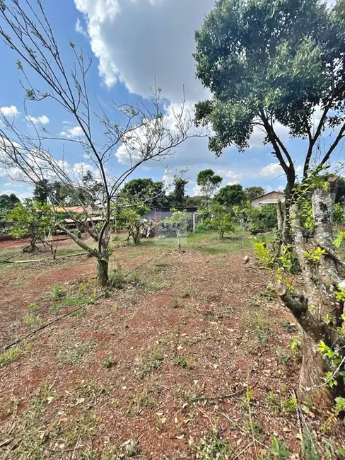 Foto 7 de Chácara com 3 quartos à venda, 2520m2 em Recanto Bom Jardim, Franca - SP