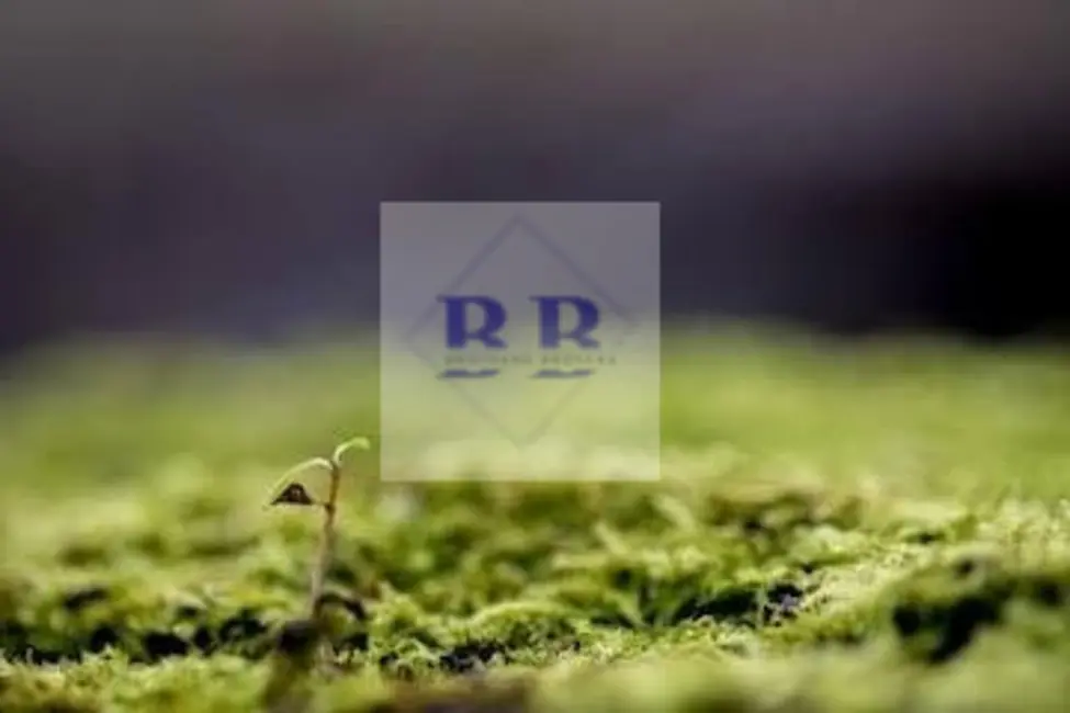 Foto 3 de Casa com 2 quartos à venda, 153m2 em Parque Dom Pedro I, Franca - SP