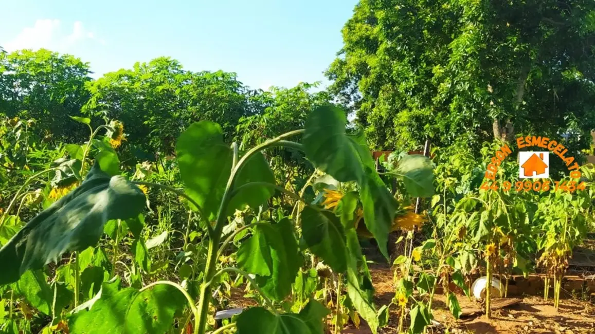 Foto 32 de Casa com 3 quartos à venda, 980m2 em Centro, Terra Roxa - PR