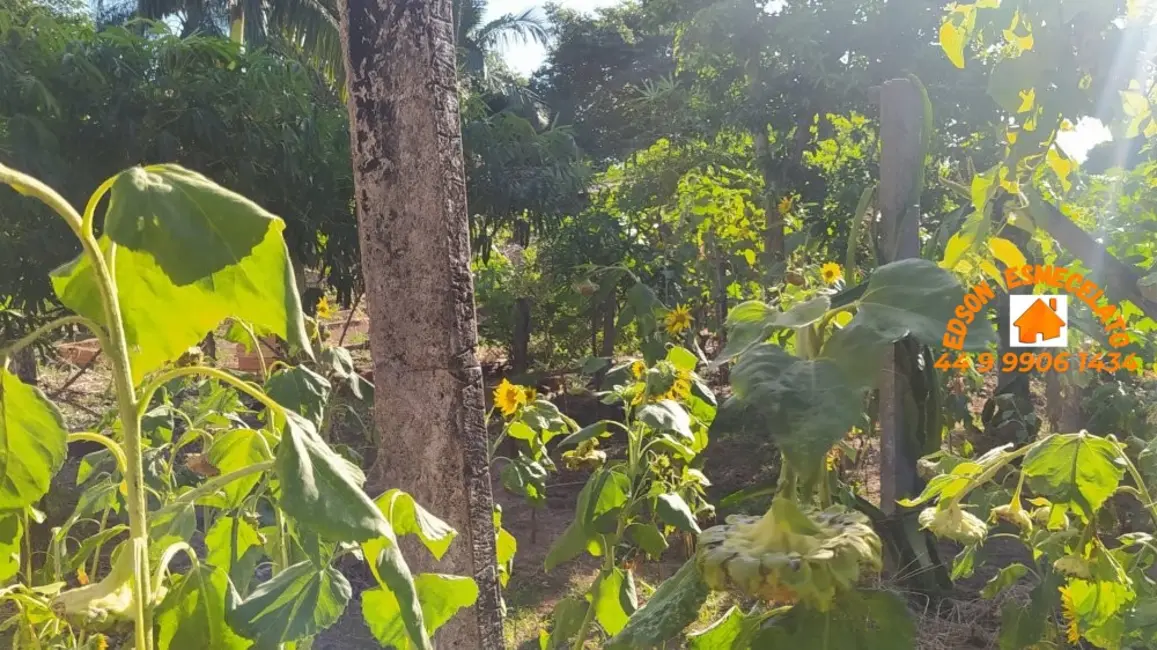 Foto 28 de Casa com 3 quartos à venda, 980m2 em Centro, Terra Roxa - PR