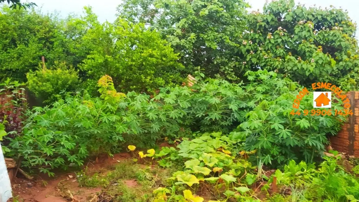 Foto 12 de Casa com 3 quartos à venda, 315m2 em Centro, Terra Roxa - PR