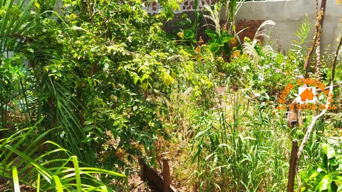 Foto 13 de Casa com 3 quartos à venda, 675m2 em Centro, Terra Roxa - PR